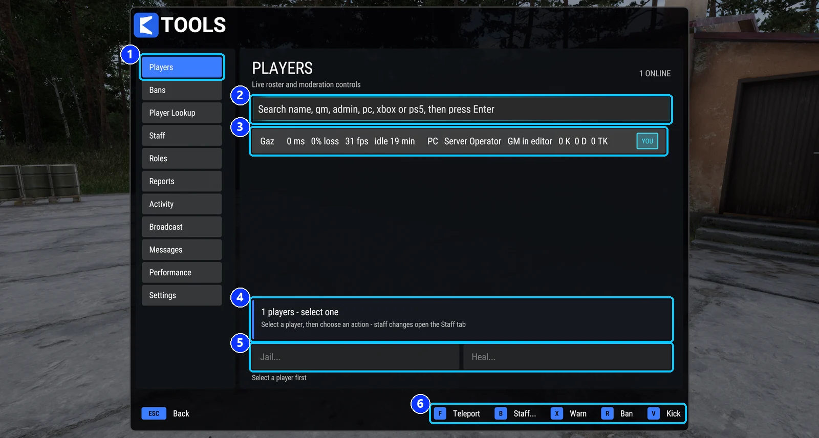 The classic Players tab with the footer buttons