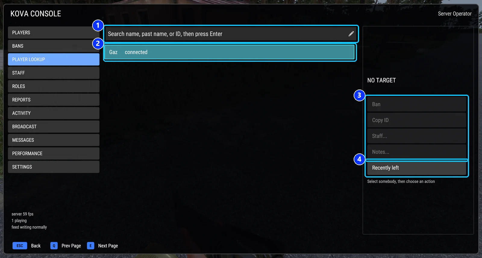 The Player Lookup page