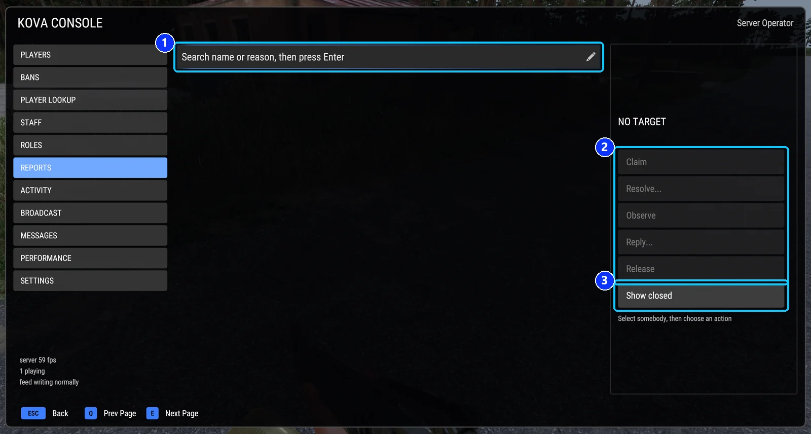 The Reports page